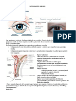 Patologias Del Parpado