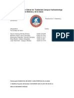 Quimica 11