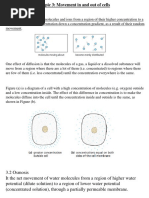 Bio Notas