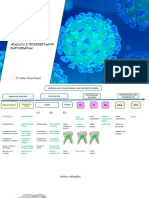 Analisis Rx-Plan de Tratamiento