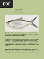 About Fish and Fish Dishes