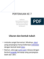 Pertemuan Ke 7