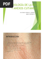 Semiologia de La Piel y Anexos Cutaneos