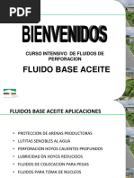 Dia 4 Fluido Base Aceite