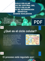 Ciclo Celular Puntos de Control Del Ciclo Celular Flujo de Información Genética Ácidos Nucleicos