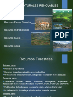 Recursos Naturales Renovables