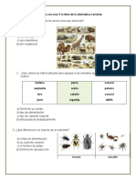 Diagnostico 2 Basico Naturaleza