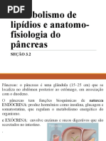 3.2 - Metabolismo de Lipídios e Anatomo-Fisiologia Do Pâncreas