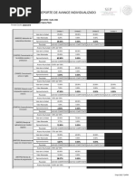 Reporte de Avance Individualizado