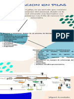 Lixiviacion en Pilas