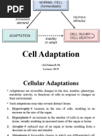 Cell Adaptation: Gul Fatima/R.Ph Lecturer, SICP