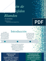 Infeccion de Piel y Tejidos Blandos