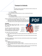 Transport in Animals: The Circulatory System