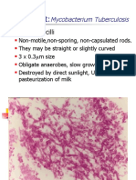 The Agent:: Mycobacterium Tuberculosis