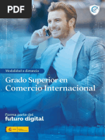 Grado Superior Comercio Internacional