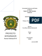 AI M 4 - Reseña (Morfofisiología) CRUZ BRAVO