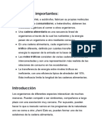 Documento Sin Título