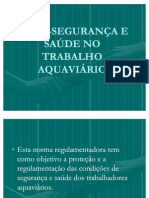 NR 30 - Segurança e Saúde No Trabalho