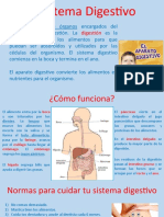 UI - El Sistema Digestivo Evaluación