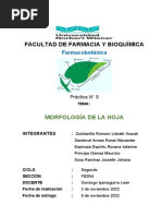 Informe 9