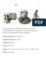 Homo Habilis