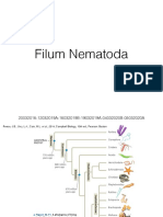 Filum Nematoda 2022