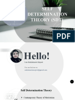 Self Determination Theory