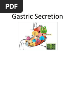 Gastric Secretion