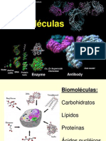 LIPIDOS