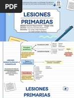 Lesiones Primarias: Universidad Nacional Autónoma de México Facultad de Estudios Superiores Iztacala