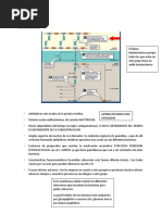 Betalactamicos Generalidades