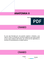 Anatomia Ii