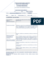 Formatos Practica Pedagogicas Licenciaturas