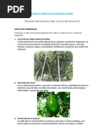 Proceso Tecnologico Del Cultivo de Aguacate: Evidencia: Material de Propagación Vegetal