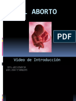 Diapositivasdeexposiciondelaborto 100616175403 Phpapp01