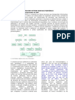 Identificar Os Componentes Do SNP : Resumo Sistema Nervoso Periférico