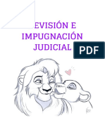 Revision e Impugacion Judicial