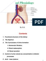 Renal Physiology