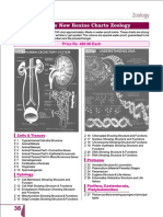 Catalog Biocraft Rexine Chart