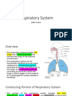 Respiratory System: Indira Pratiwi