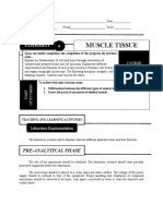 Muscle Tissue: Pre-Analytical Phase