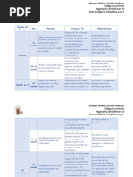 Modelo de Proceso Uso Personal Proyecto TI Observaciones