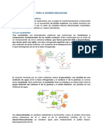 Tema 4: Ácidos Nucleicos: 1.concepto de Ácido Nucleico