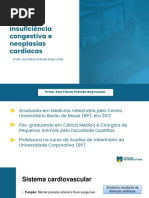 Insuficiência Congestiva e Neoplasias Cardíacas: Profa. Ana Flávia Prévide Raymundo