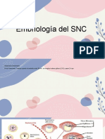 Embriología Del SNC