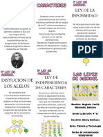 Las Leyes de Mendel