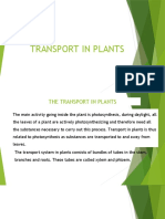 Transport in Plants