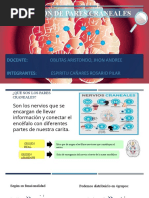 Evaluacion de Pares Craneales