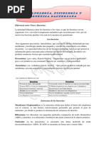 Diferencia Entre Virus y Bacterias:: Morfología, Fisiología y Genética Bacteriana