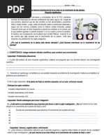 Ficha de 1°